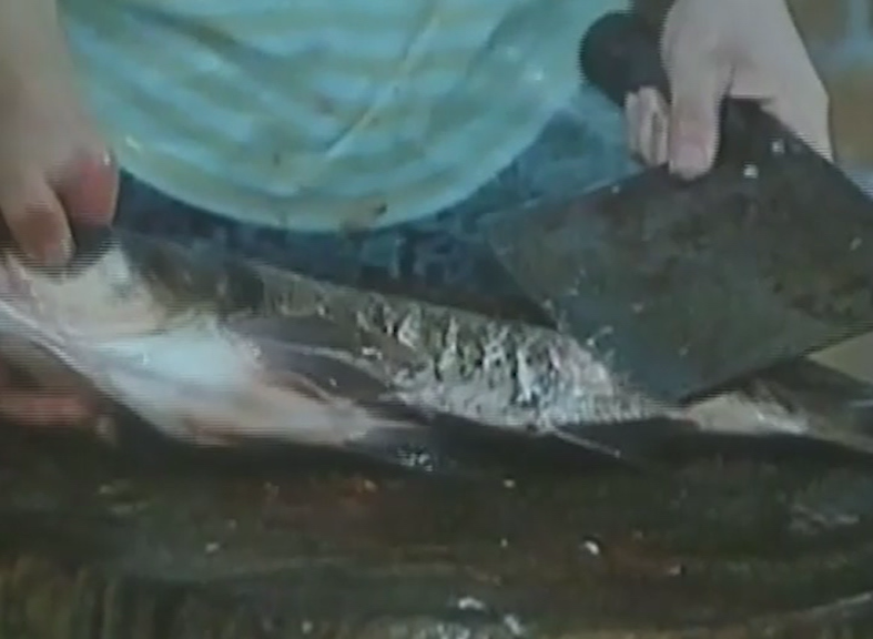 fish-skinning