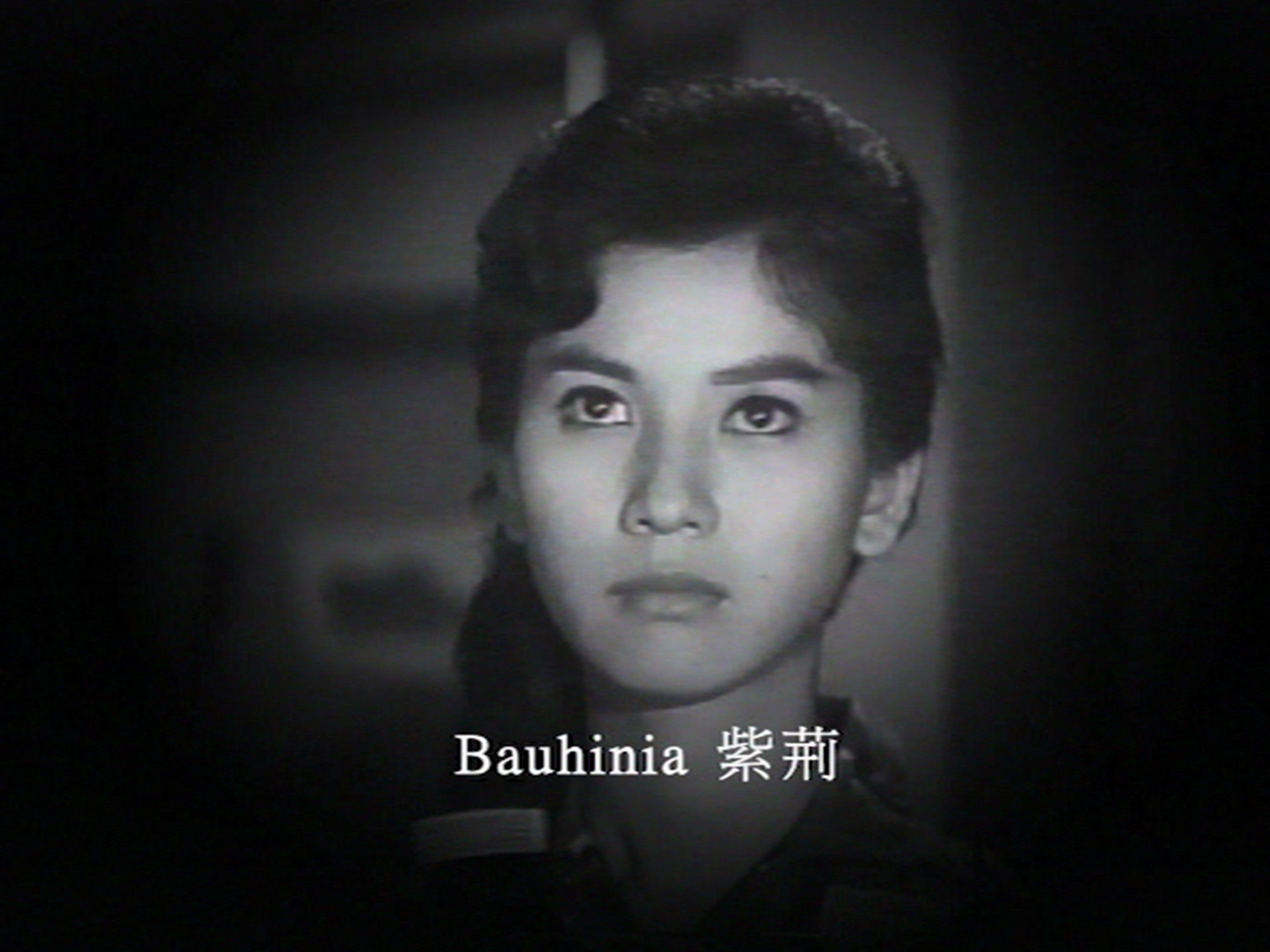 Bauhinia